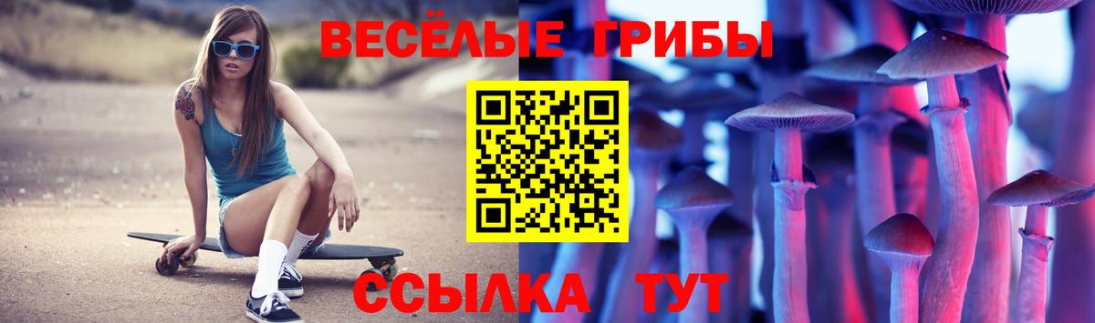 Псилоцибиновые грибы Cubensis Полысаево